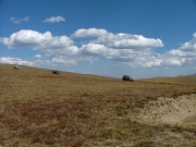 jeeps_on_the_trail