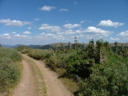 mellow_trail