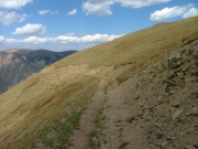 narrow_and_tippy