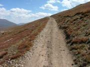 tundra_trail
