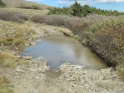 mud_puddle