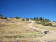 up_the_hill