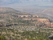 arches_in_the_distance