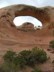 bottom_of_cedar_tree_arch_part_2