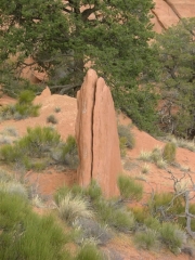cool_rocks