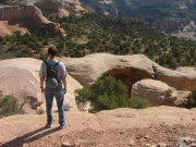 don_above_cedar_tree_arch