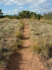 mellow_hiking_trail