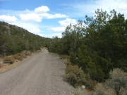 mellow_trail