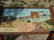 rattlesnake_arches_hike_sign_3