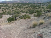 start_of_rattlesnake_canyon_hike