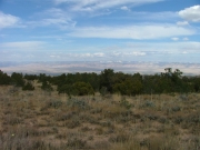 view_from_lower_road