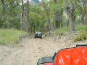 kendall_on_the_trail