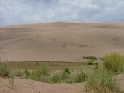 dunes