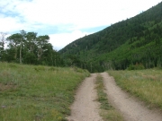 meadow
