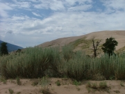 sand_and_sky