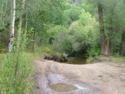 water_crossing_3
