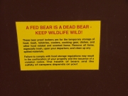 bear_box