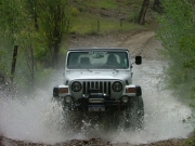 don_splash_part_4
