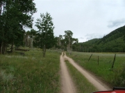 meadow