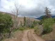 trail_through_the_sand