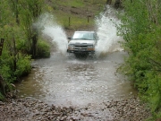 walt_splash_part_1