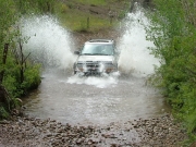 walt_splash_part_2