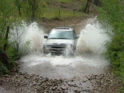 walt_splash_part_3