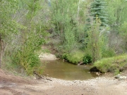 water_crossing_1