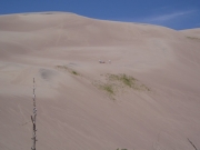 dunes