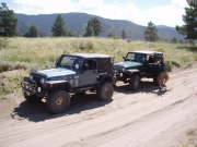 jeeps_on_the_trail