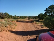 early_trail
