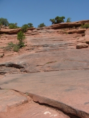 climb_challenge