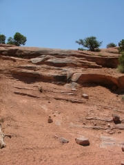 down_from_rock_chucker
