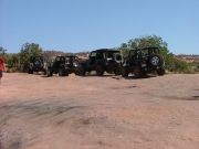 jeeps
