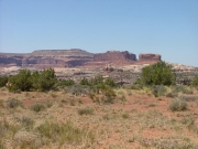 view_from_the_top