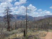 burn_area_part_1