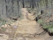 wavy_trail