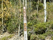 forest_service_sign