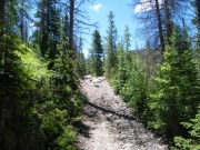 bumpy_climb