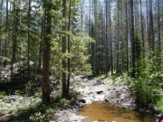 deep_puddle