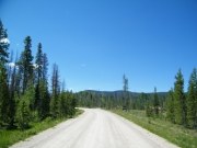 early_trail