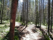 end_of_the_trail