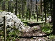 hiking_trail