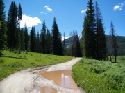 muddy_potholes
