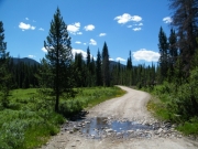 puddle