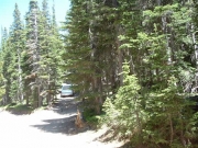 looking_back_at_coney_flats