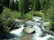 the_creek_part_2