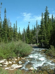 the_creek_part_3