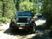 ladd_on_the_trail