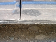 alanna_trail_damage